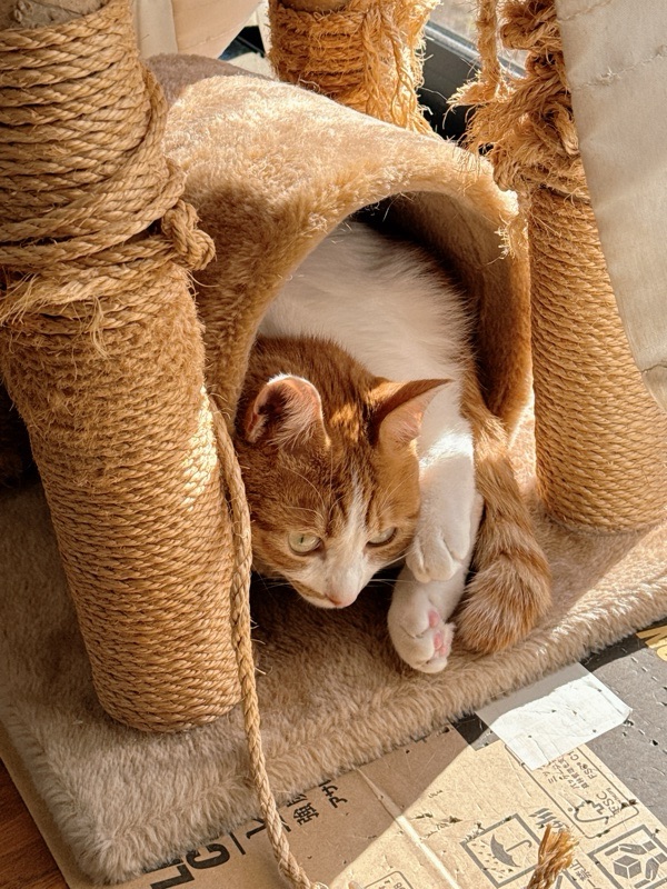 タワーのトンネルで寝るちよ